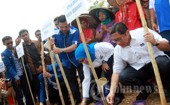 Anas Urbaningrum Sembuh Berkat Obat Misterius