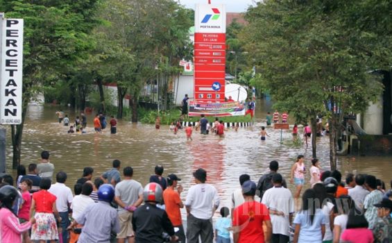 Bocah 10 Tahun Meninggal Tertimpa Pohon Seho
