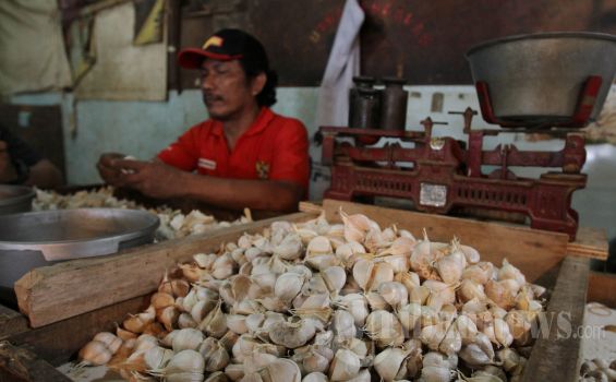 Harga Bawang Putih Tembus Rp 65 Ribu per Kilogram