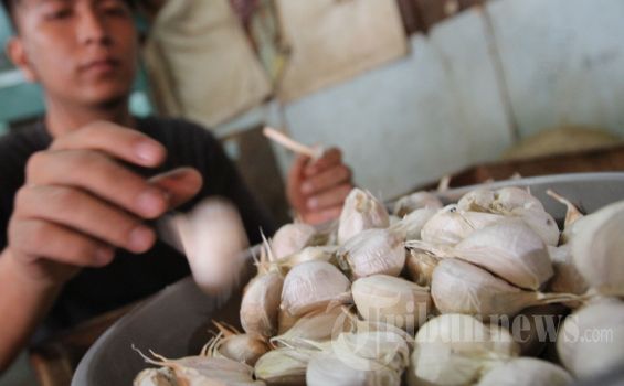 Kebijakan Pembatasan Impor Menjadi Penyebab Harga Bawang Naik