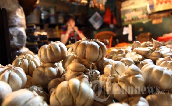 Harga Bawang Putih Makin Tak Wajar, Diduga Ada Mafia, Kementerian Perdagangan Diminta Bertindak