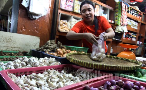 Bulog Diharapkan Bisa Atasi Krisis Bawang Putih