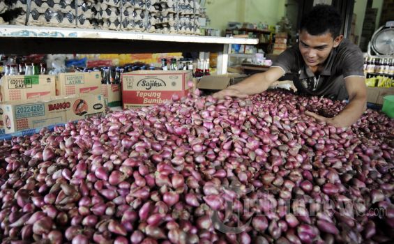 Indonesia Ketergantungan Impor Bawang Putih Sampai 95 Persen