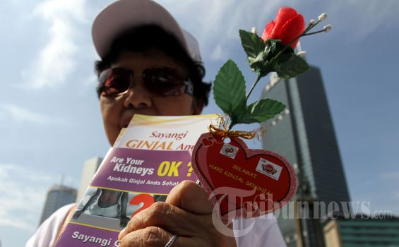 Jika Penyakit Ginjal Kronik Menyerang, Organ-organ Tubuh Ini Akan Kena Dampaknya