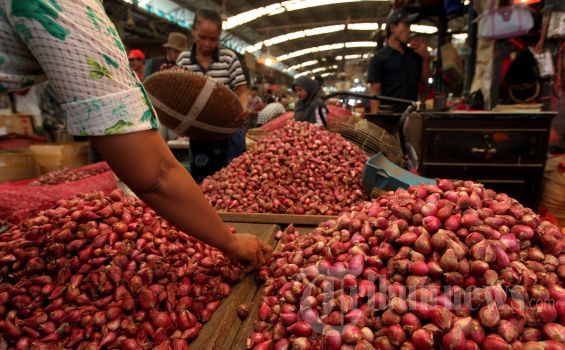Harga Bawang Tiap Harinya Naik Rp 5.000