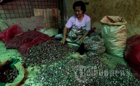 Ini Bukti Kekuasaan Negara Sudah Berpindah ke Tangan Mafia Pangan