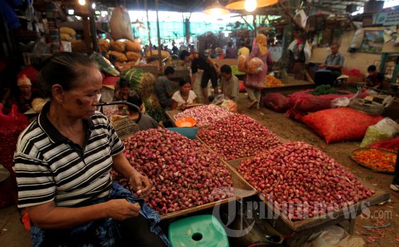 Harga Bawang Masih Bikin Pusing Pembeli dan Penjual