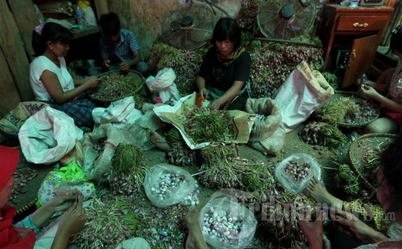 Jokowi: Urusan Harga Bawang Kebijakan Nasional