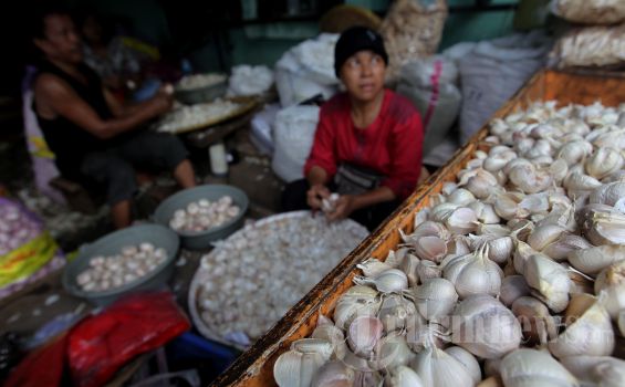 Pemerintah Diminta Stabilkan Harga Bawang Putih
