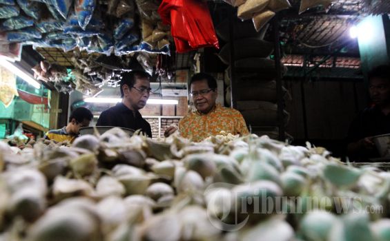 Harga Bawang Berangsur Normal