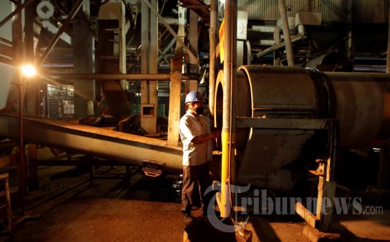 GIMNI: Program Penghiliran Kelapa Sawit Perlu Direstukturisasi