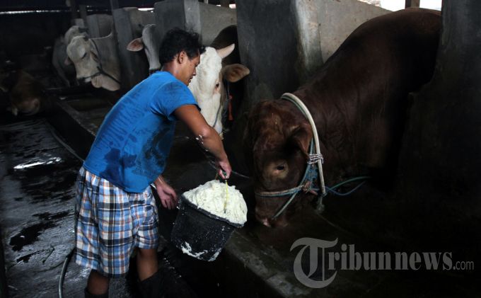 Impor Lidah Sapi, DPR Minta Mentan Buka Identitas Mafia Daging