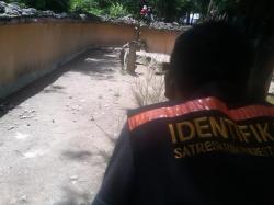 Rusa Bawean di KBS juga Mati
