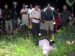 Pencuri Kayu Tewas Ditembak, 4 Lainnya Kabur