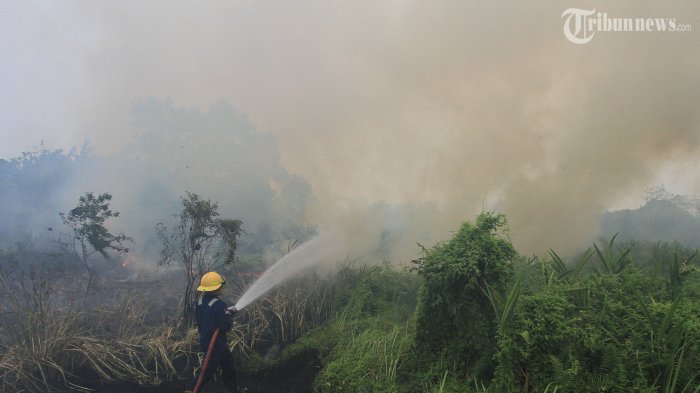 Tiga Belas Titik Panas Terpantau di Wilayah Sumatera