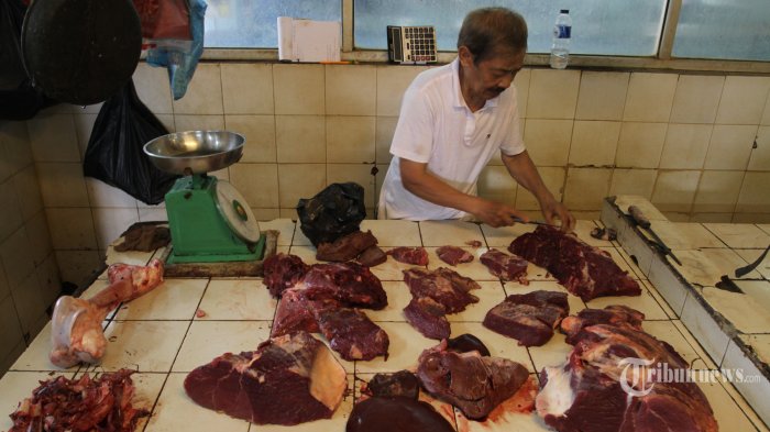 Program Swasembada Daging Gagal