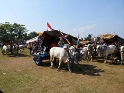 Ratusan Banjingan Ikut Pawai Syawalan di Prambanan