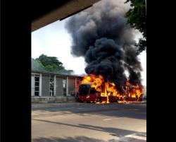 Pengamat: Kebakaran Bus Trans Jakarta Kasus Pidana