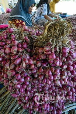 Selain Beras, Sebentar Lagi Perum Bulog Juga Akan Berbisnis Bawang Merah