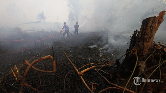 13 Titik Panas Terdeteksi di Sumatera Hari Ini, Terbanyak di Aceh