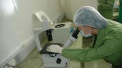 Dua Minggu, Waktu Untuk Ambil Sampel dan Diolah Jadi Stem Cell