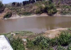Waduk Gondang di Jombang Bocor, Ratusan Hektare Sawah Kekeringan