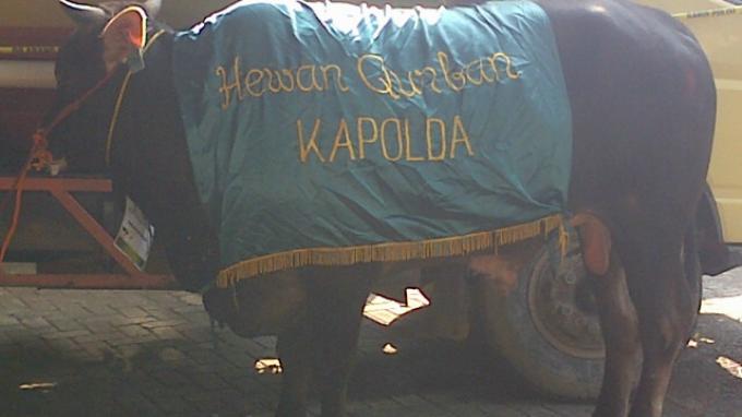 Kapolda dan Wakapolda Serahkan Hewan Kurban di Polda Metro