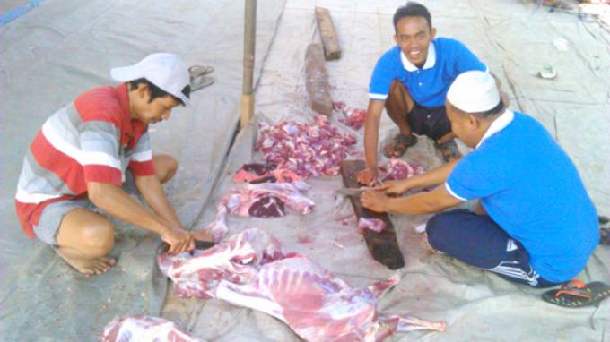 Polda Metro Jaya Salurkan 49 Sapi dan 51 Kambing