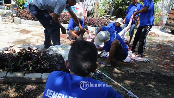 Inilah Berbagai Profesi Unik Menjelang Idul Adha