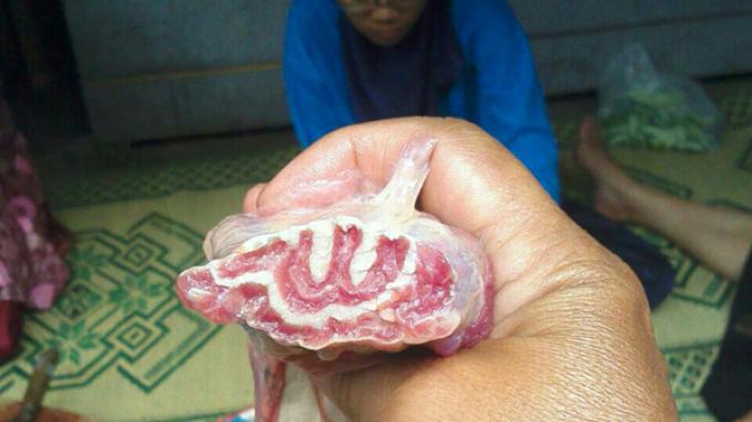 Lafaz Allah pada Potongan Daging Kurban di SMKM 3 Yogyakarta