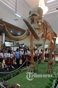 Ketagihan Kunjungi Museum Hingga ke Belanda