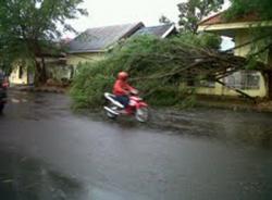 Angin Kencang Rusakkan Puluhan Rumah Warga Bone