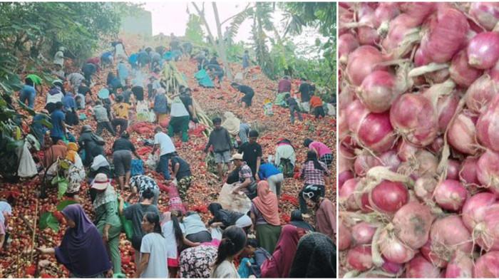 Viral Video Warga Serbu Bawang Merah dan Bombay Dekat Jurang di Batam, Dibuang Misterius
