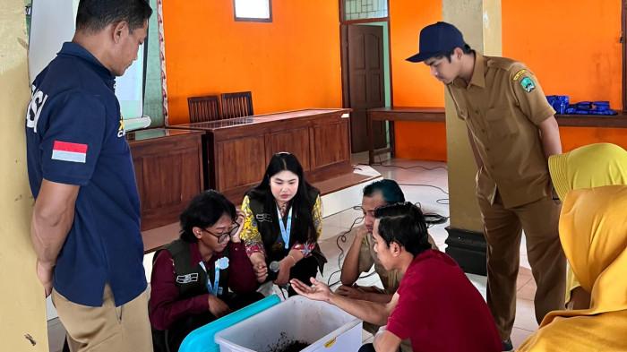 BUDIDAYA MAGGOT - budidaya maggot Black Soldier Fly (BSF) di Desa Durenan, Kecamatan Sidorejo, Kabupaten Magetan oleh mahasiswa UNS. (Doc. Rizky Fawwas)
