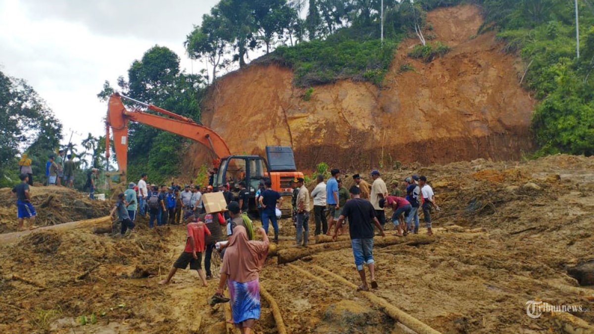 BNPB bersama Bupati Aceh Timur mendata korban terdampak sekaligus menyalurkan bantuan awal di Kecamatan Peunaron dan Serbajadi, Aceh Timur, Selasa (2/12/2025). (BNPB Indonesia/tribunnews/HO)