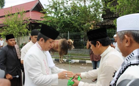 Bupati Berau Kurban Brahma Cross