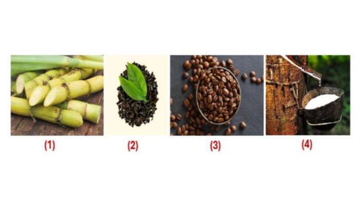 CONTOH SOAL OSN - Tangkapan layar website Kemendikdasmen, Minggu (8/2/2026), memperlihatkan soal nomor 40, IPS untuk jenjang SMP.