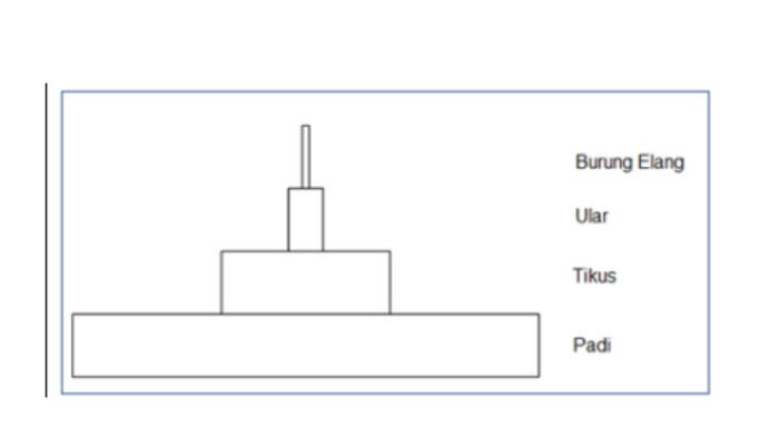CONTOH SOAL OSN - Tangkapan layar website Kemendikdasmen, Senin (9/2/2026), memperlihatkan soal nomor 51, IPA untuk jenjang SD.