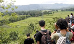 Crop Circle di Bantul Hanya Berdiameter 30 Meter