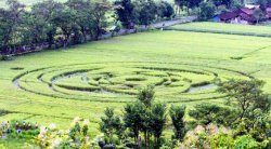 Roy Maknai Crop Circles Simbol Muladhara Chakra