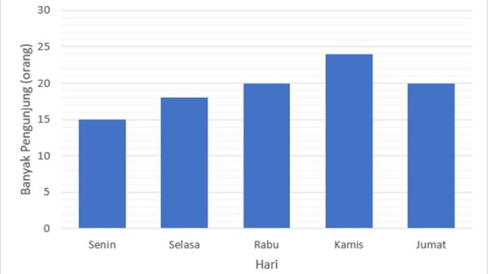 Data jumlah pengunjung.