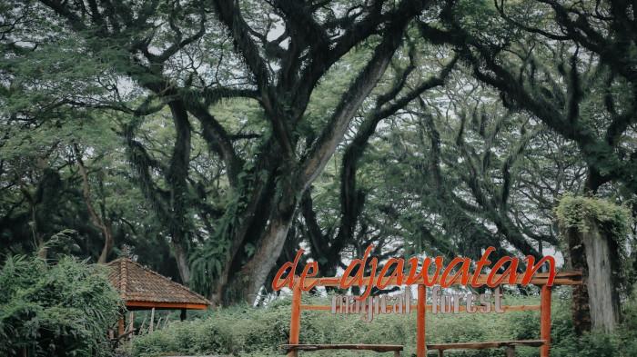 Djawatan Forest 14/11