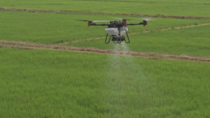 Drone pertanian padi OK