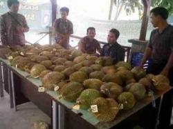 Kontes Durian dari Muntok