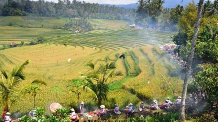 Gambar No 4 TKA Antropologi Kelas 12 SMA