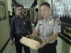 Ganja 1 Kg tercecer di Depan Warung