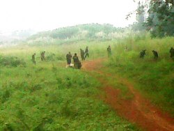 Polisi Selesai Lakukan Olah TKP