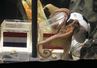 Paul Si Gurita Akhirnya Jagokan Spanyol