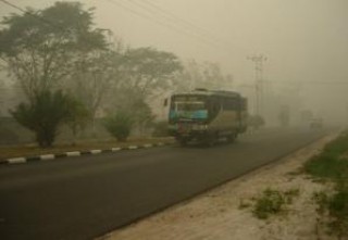 Menkokesra Gelar Rapat Koodinasi Untuk Tanggulangi Asap Riau