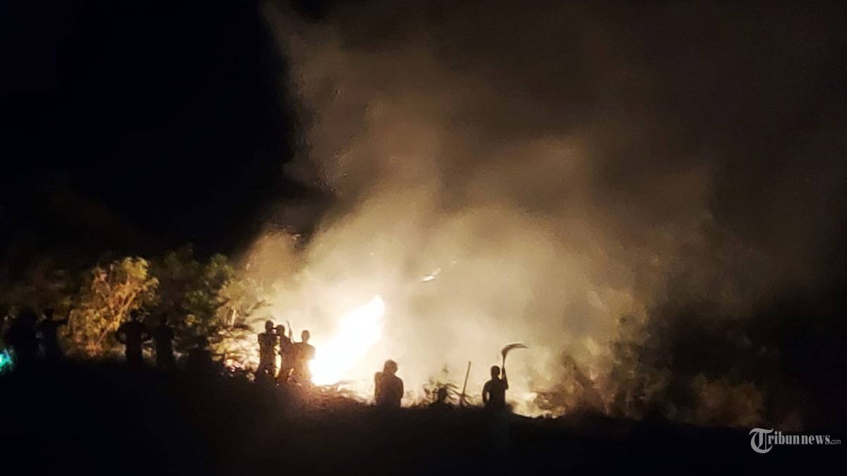 Angka Karhutla 2025 Menyusut, Menkeu: Indikatornya Tak Ada Lagi Protes dari Negara Jiran